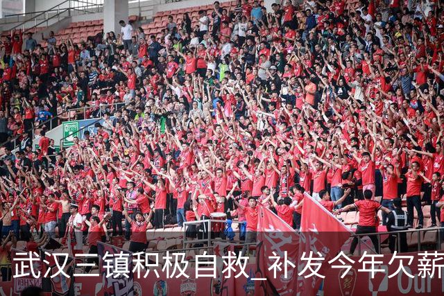 武汉三镇积极自救 补发今年欠薪 准入大概率会解决